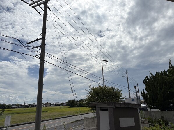 ミレニアム・カーサAの物件内観写真